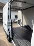 Ford Transit Transit Variobus 2,0 EcoBlue L2H2 310 Basis Basis Weiß - thumbnail 7