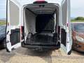 Ford Transit Transit Variobus 2,0 EcoBlue L2H2 310 Basis Basis Weiß - thumbnail 9