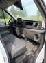 Ford Transit Transit Variobus 2,0 EcoBlue L2H2 310 Basis Basis Weiß - thumbnail 11