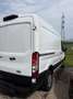 Ford Transit Transit Variobus 2,0 EcoBlue L2H2 310 Basis Basis Weiß - thumbnail 2