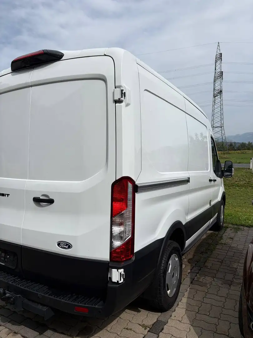 Ford Transit Transit Variobus 2,0 EcoBlue L2H2 310 Basis Basis Weiß - 2