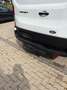 Ford Transit Transit Variobus 2,0 EcoBlue L2H2 310 Basis Basis Weiß - thumbnail 10
