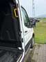 Ford Transit Transit Variobus 2,0 EcoBlue L2H2 310 Basis Basis Weiß - thumbnail 6