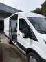 Ford Transit Transit Variobus 2,0 EcoBlue L2H2 310 Basis Basis Weiß - thumbnail 5