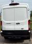 Ford Transit Transit Variobus 2,0 EcoBlue L2H2 310 Basis Basis Weiß - thumbnail 3