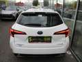 Toyota Corolla 1.8 Hybrid Touring Sports Active Weiß - thumbnail 6