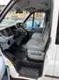 Ford Transit H2+L2 9.Stz Klima Tempomat AHK Weiß - thumbnail 8