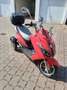 Rolektro E-Trike Maximus MX3-25 Rot - thumbnail 9