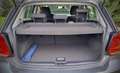 Volkswagen Polo Polo 5p 1.4 tdi Trendline 75cv Grigio - thumbnail 12