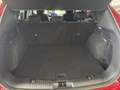 Ford Kuga Titanium 1,5 Ecoboost Winterpaket Ganzjahresreifen Rouge - thumbnail 8