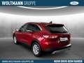 Ford Kuga Titanium 1,5 Ecoboost Winterpaket Ganzjahresreifen Rouge - thumbnail 3