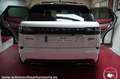 Land Rover Range Rover Velar 5.0 SVAutobiography Dynamic Ed. 4WD A 550 Weiß - thumbnail 6