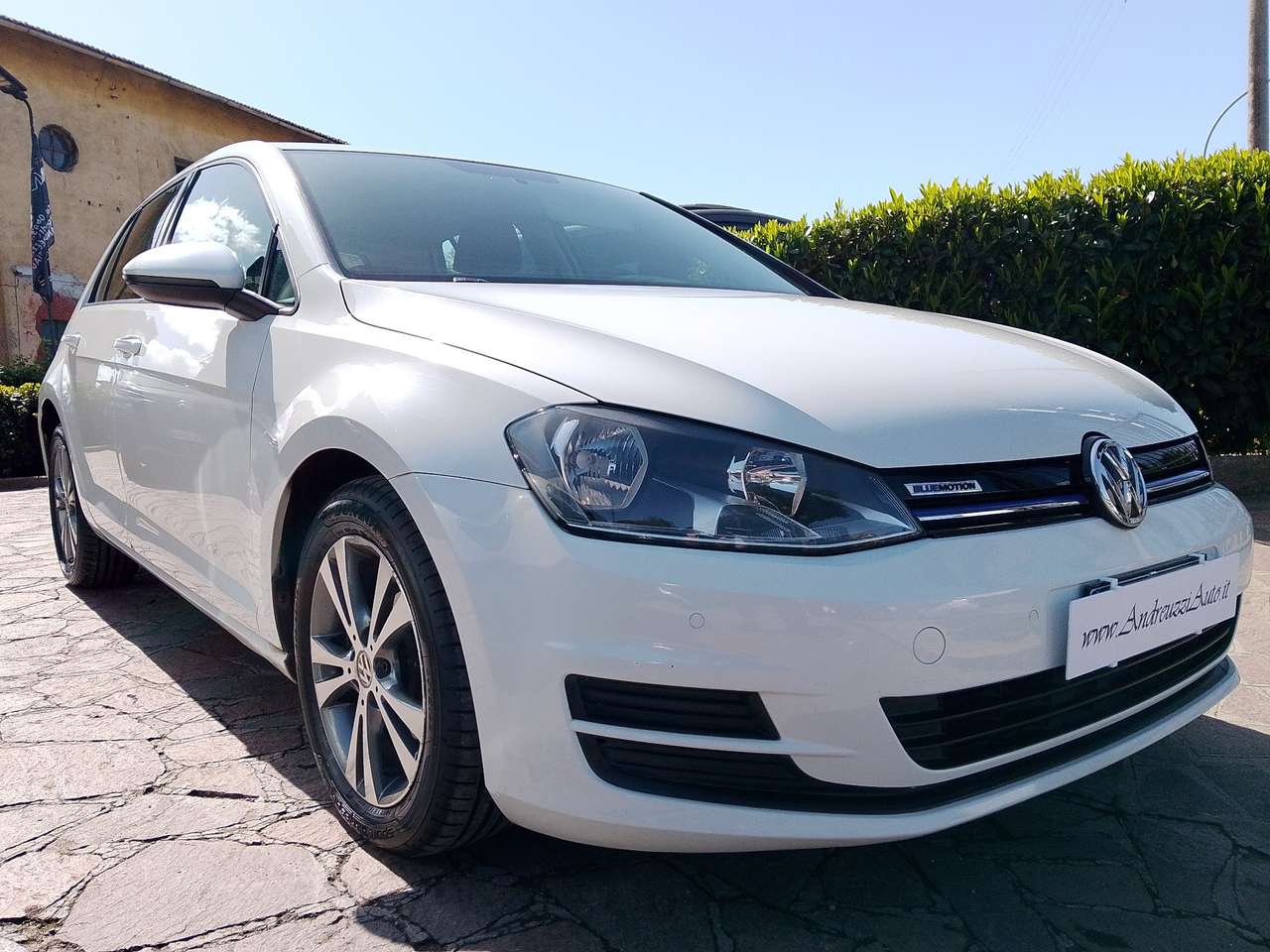 Volkswagen Golf 5p 1.6 tdi bluemotion 90cv