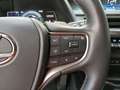 Lexus UX 300e Executive Zilver - thumbnail 12