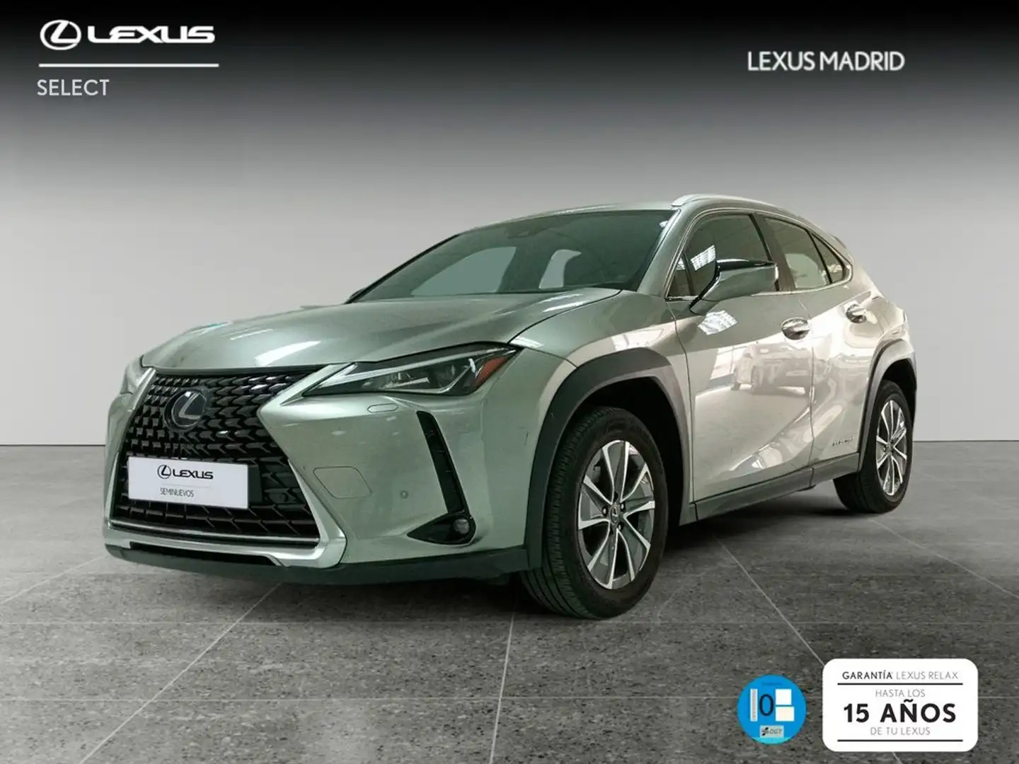 Lexus UX 300e Executive Zilver - 1