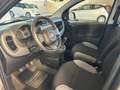 Fiat Panda 1.0 FireFly s&s hybrid Easy Grigio - thumbnail 7