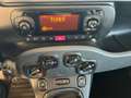 Fiat Panda 1.0 FireFly s&s hybrid Easy Grigio - thumbnail 12