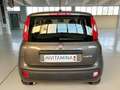 Fiat Panda 1.0 FireFly s&s hybrid Easy Grigio - thumbnail 5