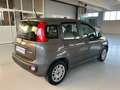 Fiat Panda 1.0 FireFly s&s hybrid Easy Grigio - thumbnail 6