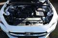 SEAT Leon Sportstourer Style ST 1.5 eTSI 115 DSG LED Visi... Weiß - thumbnail 12