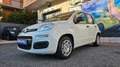 Fiat Panda Panda 1.0 FireFly S&S Hybrid Pandina ICON 5 POSTI Nero - thumbnail 2
