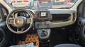 Fiat Panda Panda 1.0 FireFly S&S Hybrid Pandina ICON 5 POSTI Schwarz - thumbnail 18