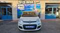 Fiat Panda Panda 1.0 FireFly S&S Hybrid Pandina ICON 5 POSTI Nero - thumbnail 1