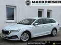 Skoda Octavia Combi 2,0 TDI | LED |Virtual C.| Kessy |Sportsi... Weiß - thumbnail 1