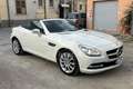 Mercedes-Benz SLK 200 SLK 200 CGI Sport Blanc - thumbnail 9