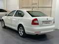 Skoda Octavia 1.6TDI CR Family Blanco - thumbnail 5
