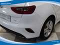 Kia Ceed / cee'd 1.0 T-GDI 120cv 5 Porte Drive EU6 Fehér - thumbnail 12