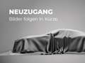 Ford Focus Turnier Titanium ZAHNRIEM NEU/SHZ/PDC Grau - thumbnail 8