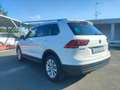 Volkswagen Tiguan II 2017 2.0 tdi Business 4motion 150cv dsg Blanc - thumbnail 8