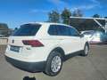 Volkswagen Tiguan II 2017 2.0 tdi Business 4motion 150cv dsg Blanc - thumbnail 6