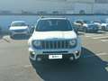 Jeep Renegade 1.0 T3 120cv Limited Bianco - thumbnail 6