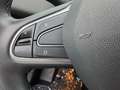 Renault Scenic 1.4 TCe Energy 7PL AUTOM NAVI PARKH VOOR&ACHTER Gris - thumbnail 22