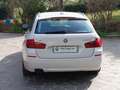 BMW 520 d Touring xdrive Luxury 190 cv Bianco - thumbnail 5