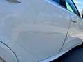 Lexus IS 300 IS 300h F-Sport Hybrid Weiß - thumbnail 5