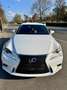 Lexus IS 300 IS 300h F-Sport Hybrid Weiß - thumbnail 1