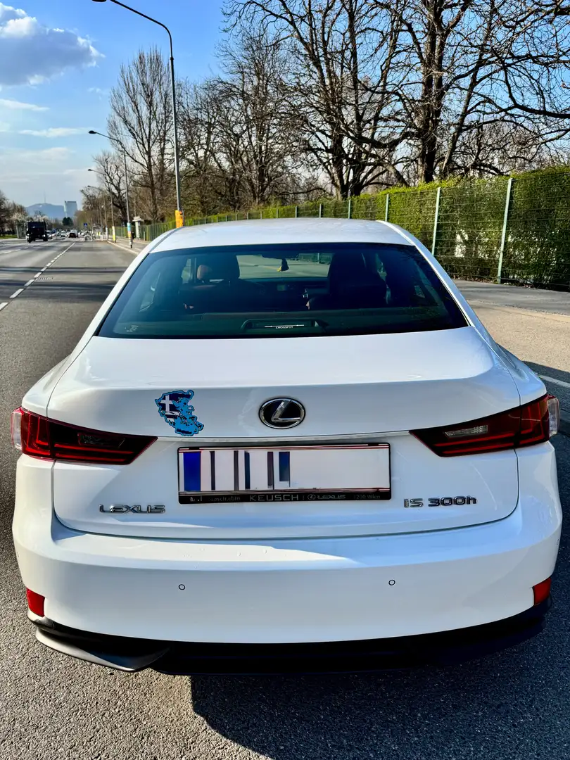 Lexus IS 300 IS 300h F-Sport Hybrid Weiß - 2