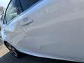 Lexus IS 300 IS 300h F-Sport Hybrid Weiß - thumbnail 6