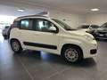 Fiat Panda Panda 1.2 GPL 69cv LOUNGE GPL CASA MADRE GARANZIA Weiß - thumbnail 5
