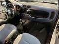 Fiat Panda Panda 1.2 GPL 69cv LOUNGE GPL CASA MADRE GARANZIA Weiß - thumbnail 15