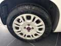 Fiat Panda Panda 1.2 GPL 69cv LOUNGE GPL CASA MADRE GARANZIA Weiß - thumbnail 19
