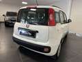 Fiat Panda Panda 1.2 GPL 69cv LOUNGE GPL CASA MADRE GARANZIA Weiß - thumbnail 9