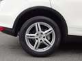 Porsche Cayenne Cayenne S 4.8L V8 2010 Perfect! (BTW AUTO) Blanc - thumbnail 45
