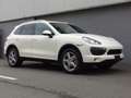 Porsche Cayenne Cayenne S 4.8L V8 2010 Perfect! (BTW AUTO) Blanc - thumbnail 1