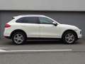 Porsche Cayenne Cayenne S 4.8L V8 2010 Perfect! (BTW AUTO) Blanc - thumbnail 5