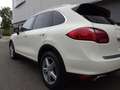 Porsche Cayenne Cayenne S 4.8L V8 2010 Perfect! (BTW AUTO) Blanc - thumbnail 20