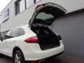 Porsche Cayenne Cayenne S 4.8L V8 2010 Perfect! (BTW AUTO) Blanc - thumbnail 38